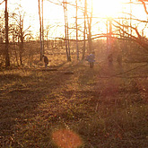 Sonnenuntergang in herbstlicher Heidelandschaft mit zwei Kindern
