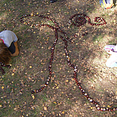 zwei Kinder legen Muster aus Kastanien auf den Waldboden